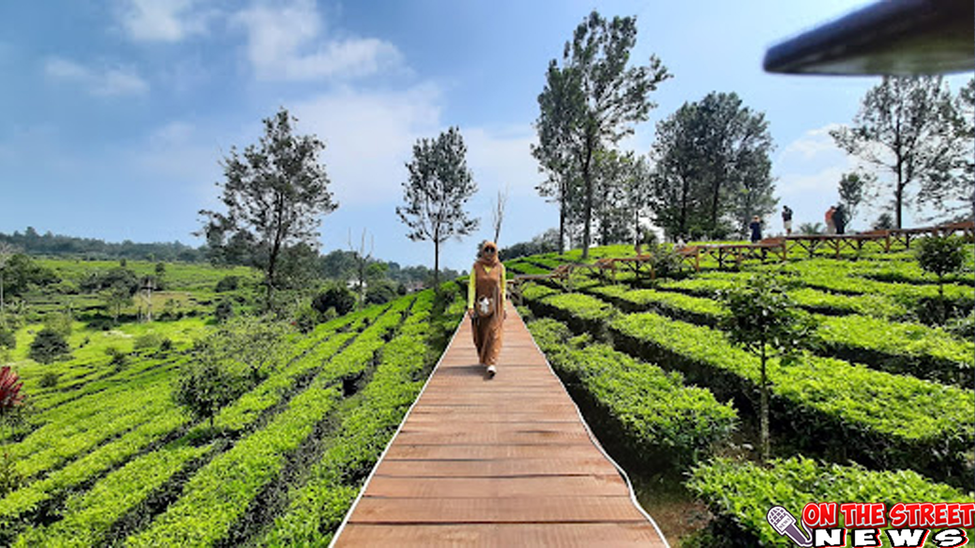 Nikmati Keindahan Alam dan Segar di Kebun Teh Puncak Bogor!